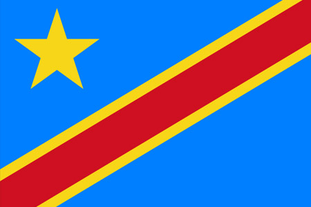 サッカーコンゴ民主共和国代表