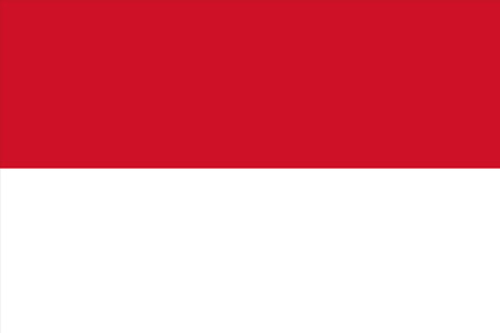 サッカーインドネシア代表
