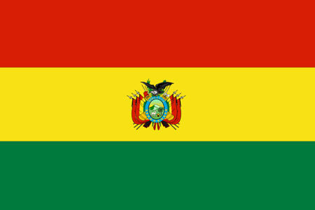 サッカーボリビア代表