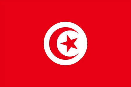 サッカーチュニジア代表